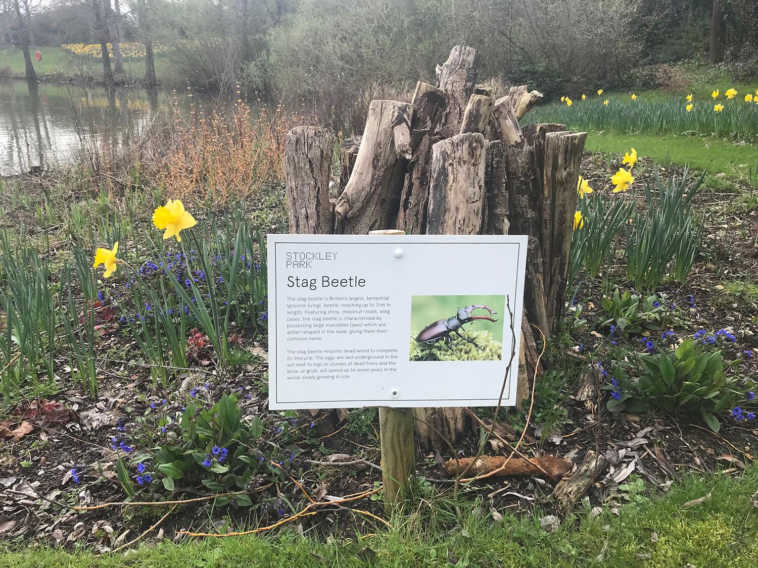 PRESS RELEASE One Year On Rygor Group’s Partnership with GreenTheUK Continues to Flourish